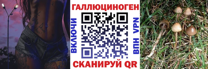 Галлюциногенные грибы Cubensis где найти наркотики Ухта